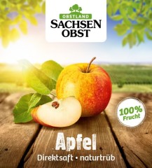 Sachsenobst Apfelsaft naturtrüber Direktsaft 3 Liter Bag-in-Box